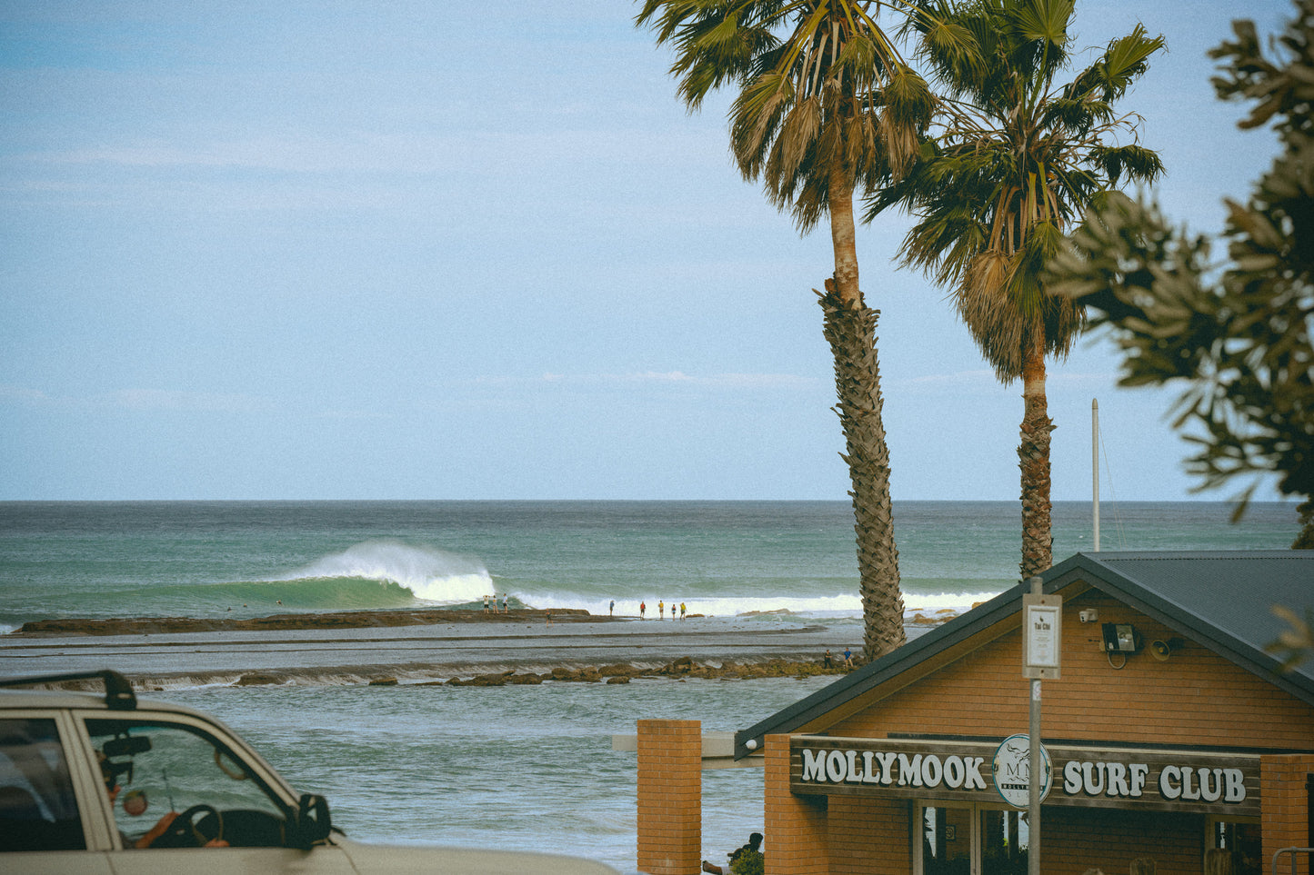 Mollymook Surf Club™