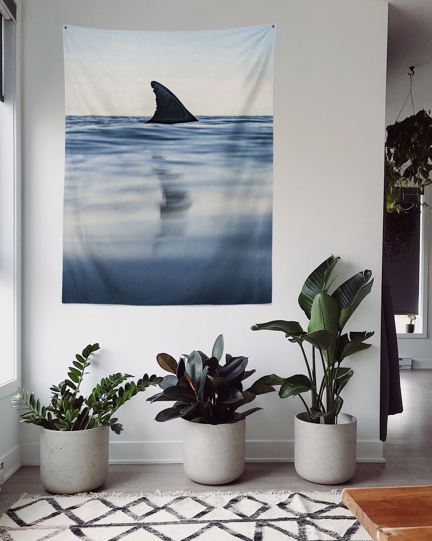 FIN™
