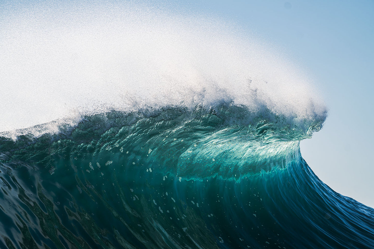 mind surf™