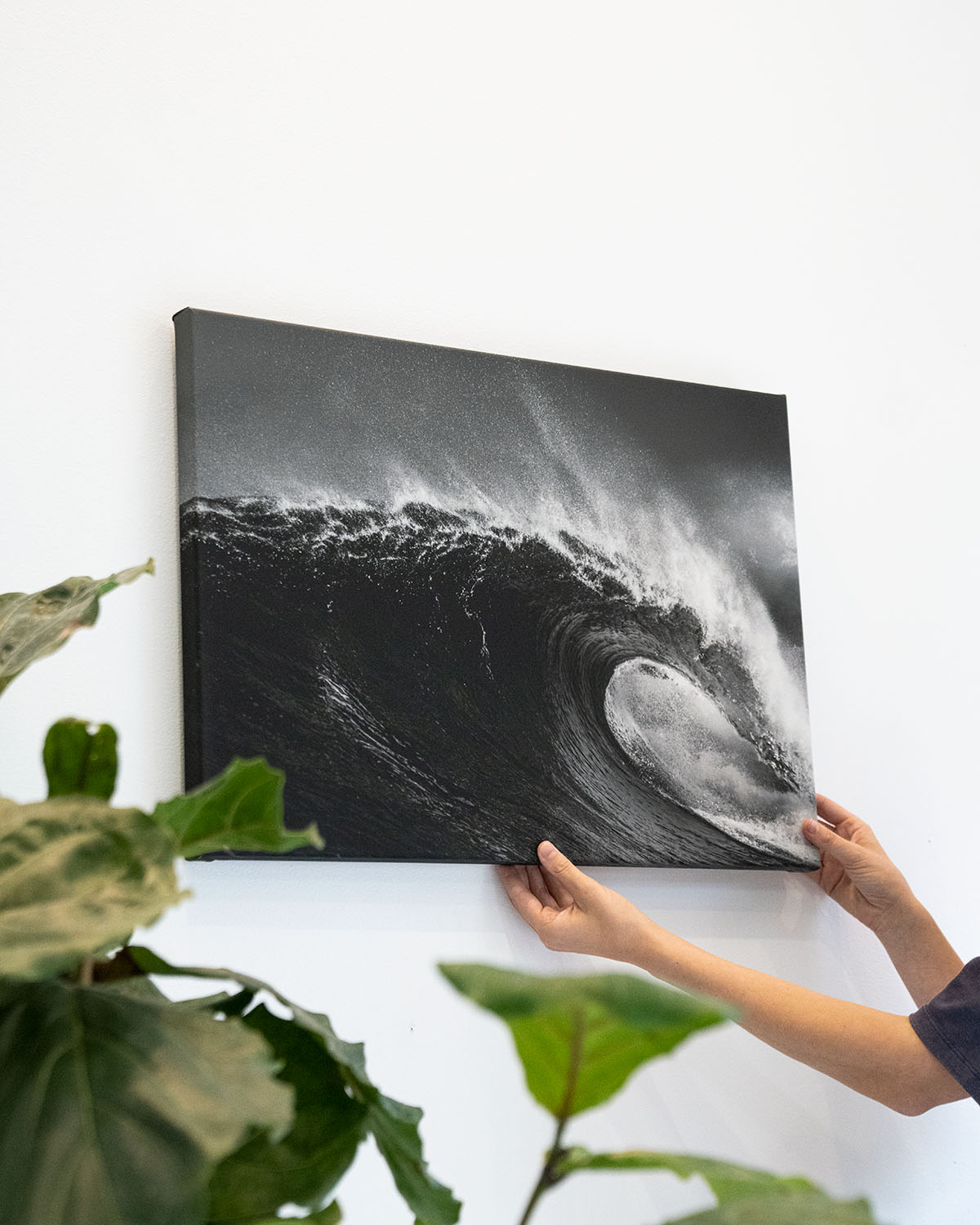 surf™