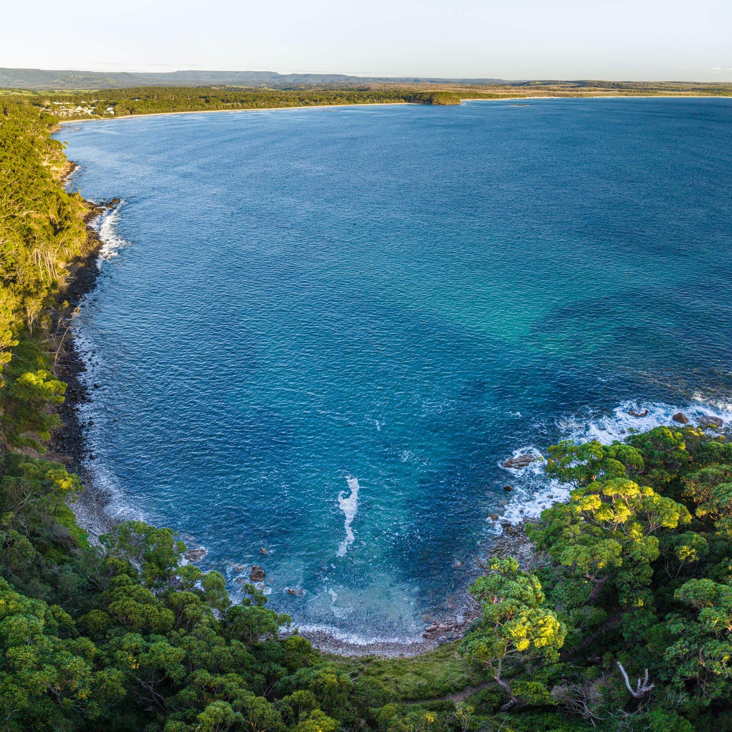 Lush Coastline