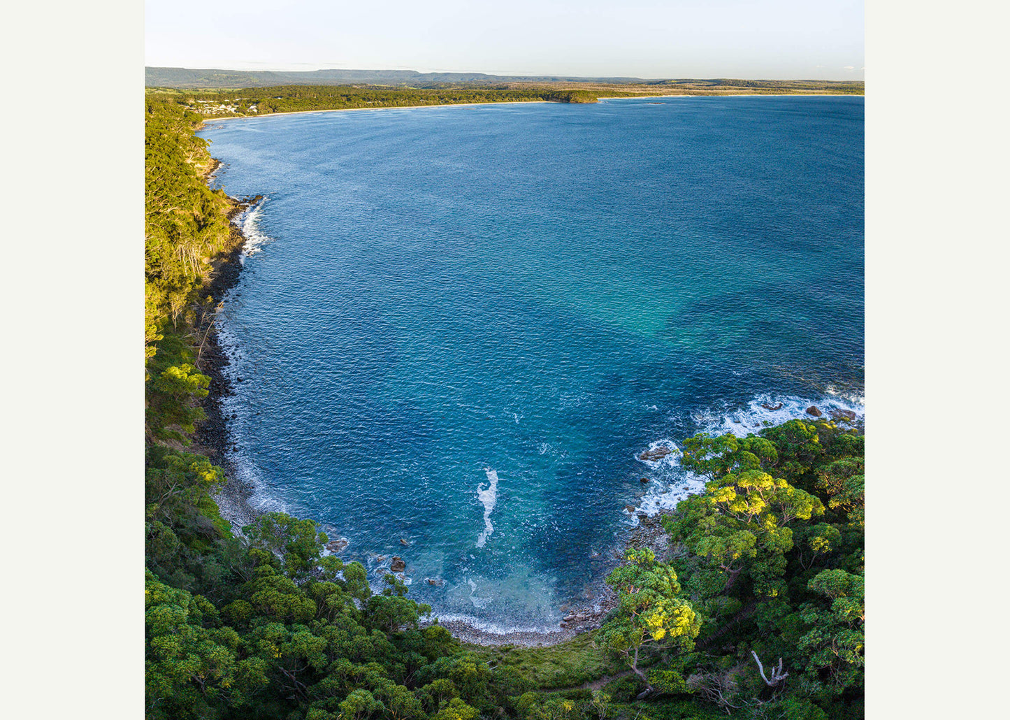 Lush Coastline