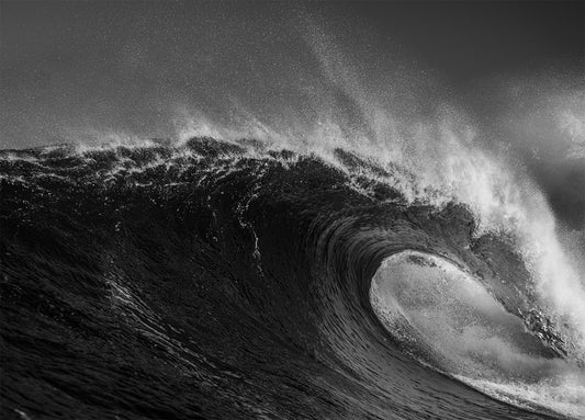 surf™